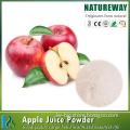 Apple juice powder apple juice concentrate powder